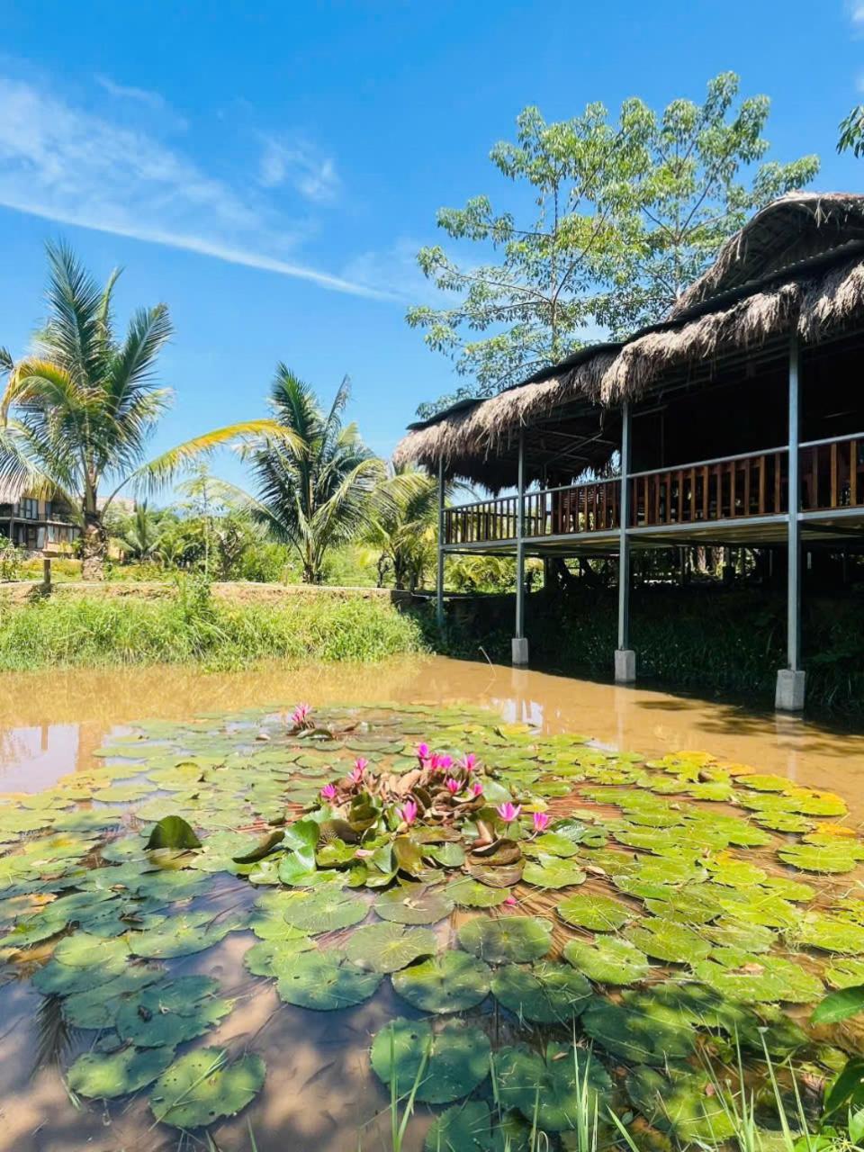 فندق Mai Chau Onsen Retreat المظهر الخارجي الصورة